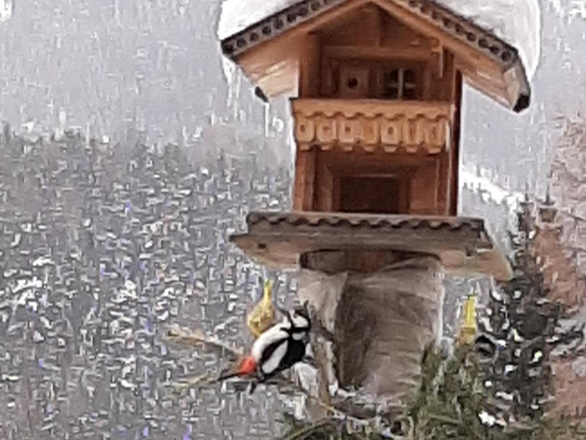 Pension Fuerhapter Mit Bio- Bauernhof Sankt Jakob in Defereggen Dış mekan fotoğraf