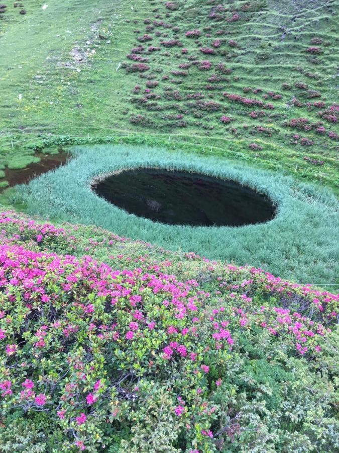 Pension Fuerhapter Mit Bio- Bauernhof Sankt Jakob in Defereggen Dış mekan fotoğraf