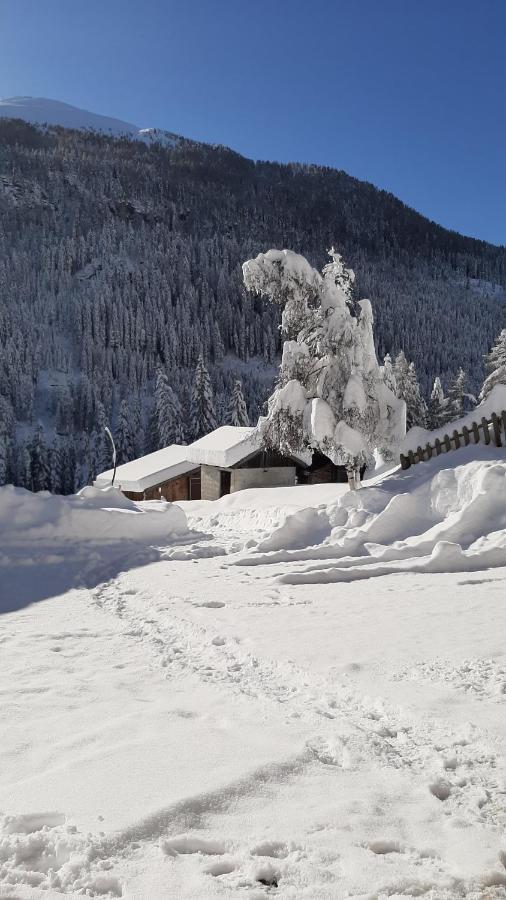Pension Fuerhapter Mit Bio- Bauernhof Sankt Jakob in Defereggen Dış mekan fotoğraf